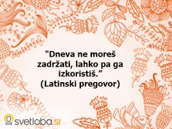 Izkoristi dan