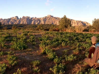 Ko te strah ohromi ... Kaj narediti? 3/3