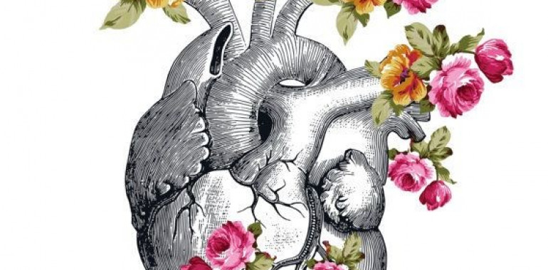 Srce ni navaden organ