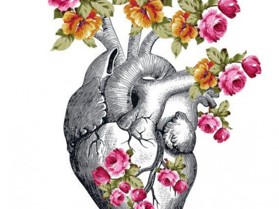 Srce ni navaden organ