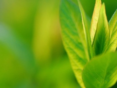 Majhne odločitve – velike spremembe