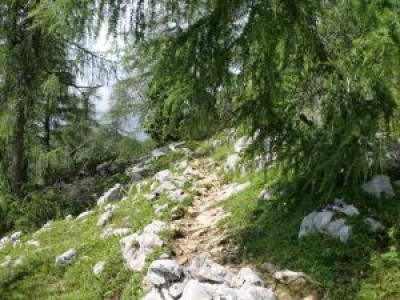 Zakaj smo razočarani?