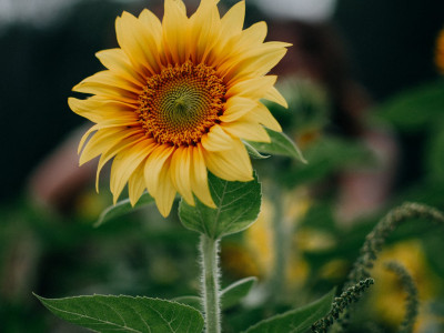 Postanite si pomembni. Ne navzven, navznoter.