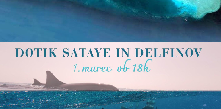 Dotik delfinov in Sataye - brezplačen dogodek