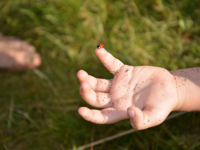 7 napotkov kako uspešno manifestirati obilje in ljubezen s  Theta healing meditacijo za obilje