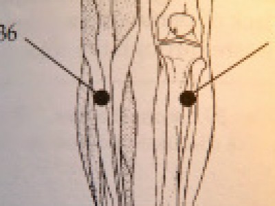 Samomasaža energetske točke S-36, glavna točka na meridianu želodca