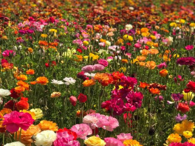 Ali vas res zanima, kaj pomeni prisluhniti sebi?