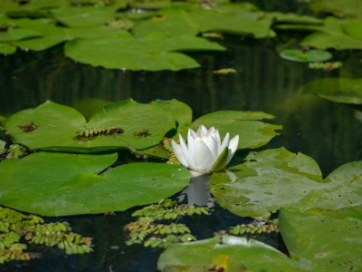 Bolj ko se poznate, več možnosti imate, da sprejemate dobre in prave odločitve!