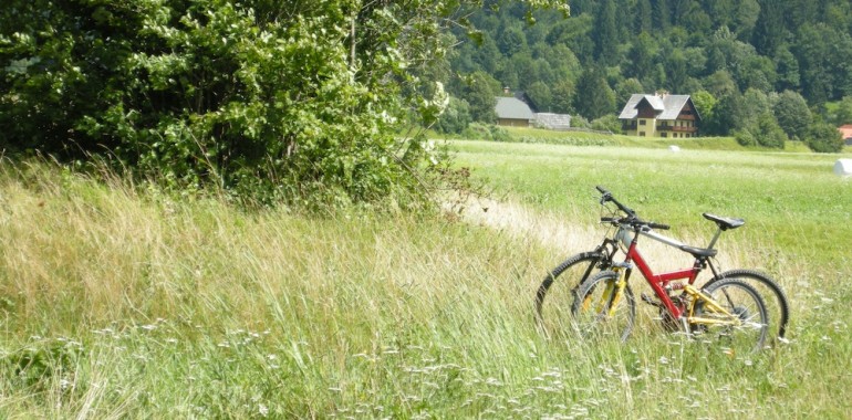 Zdrav način življenja – zdravi odnosi?