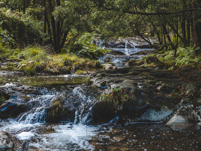 Kratka meditacija: prizemljitev in polnjenje z energijo