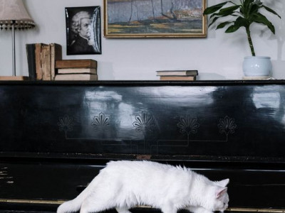 Življenje ne čaka, ampak teče dalje