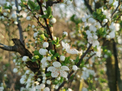 Dnevnik energij: 6. - 13. aprila 2021