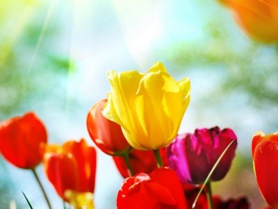 Čudovit si, tak kot si, z vsemi dodatki