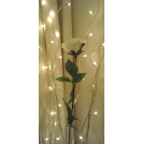 Neža Kastelic, Naturopatija, Svetovanje in masaže