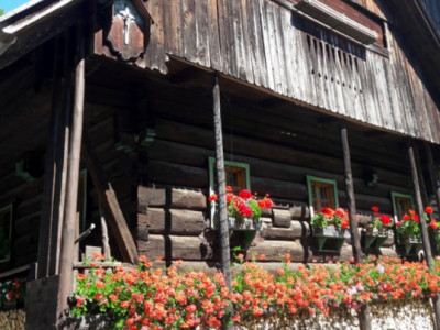 Iz tujih napak učiti se je manj boleče, kot iz lastnih