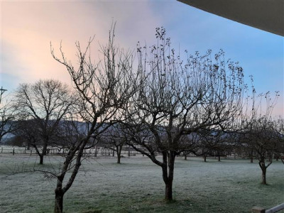 Kaj pa TVOJA NAKLJUČNA PRIJAZNOST?