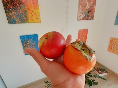 Medenje kakija z jabolka