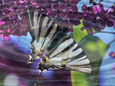 Maj bo energijsko najpomembnejši mesec leta 2021! 