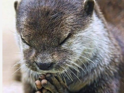 Poglej ljubeče vase