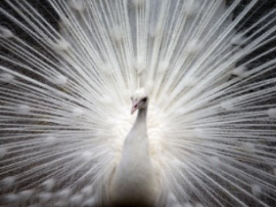 Današnji čas sprememb