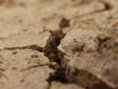 Res s spoštovanjem 1