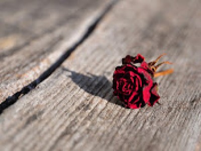 Veliko lahko naredimo sami