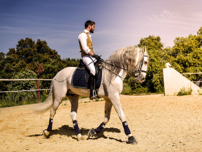 Odklenjene pravljice: Pepelkin princ