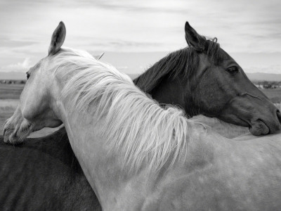 Karantena..kjer sem OPAZOVALEC
