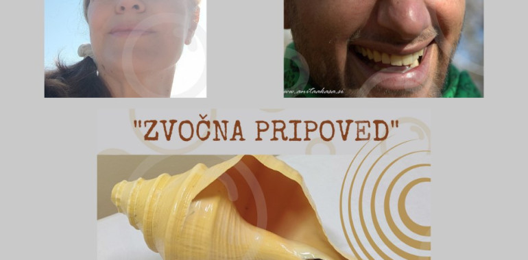 Zvočna pripoved