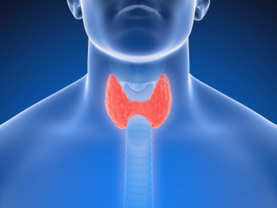 Tradicionalna kitajska medicina za bolezni ščitnice
