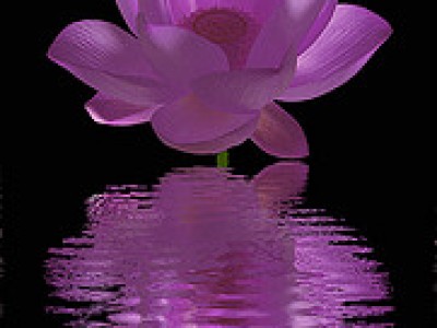 Prevzemimo odgovornost za kreacijo našega življenja