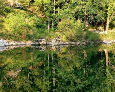 V objemu narave - vikend meditacijski odmik
