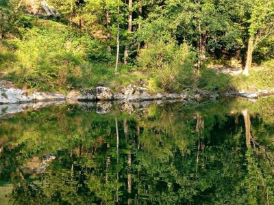 V objemu narave - vikend meditacijski odmik