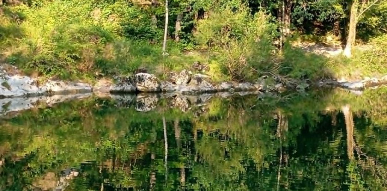 V objemu narave - vikend meditacijski odmik