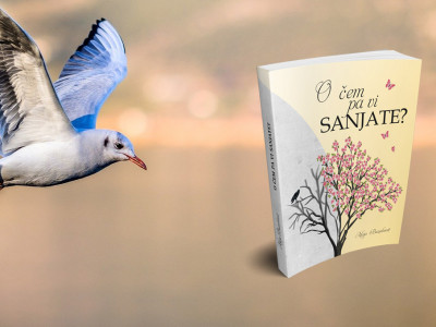 knjiga O čem pa vi sanjate? 19% CENEJE