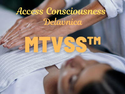 MTVSS delavnica Accessovih telesnih procesov