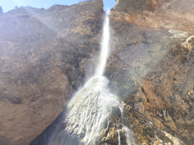 Spomladanski energijski detox in budnica