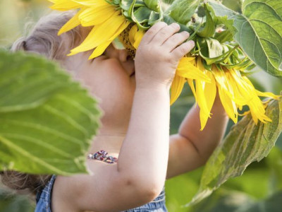 Sporočilo za November