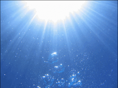 Blaženost- Razcvet meditacije