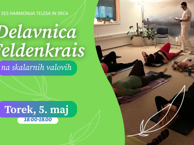Delavnica Feldenkrais na skalarnih valovih