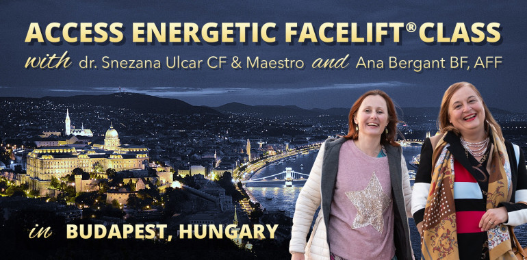 Energijski Facelift® delavnica v Budimpešti