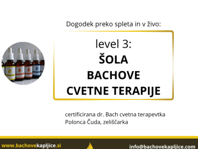 Predstavitev Šola Bachove cvetne terapije