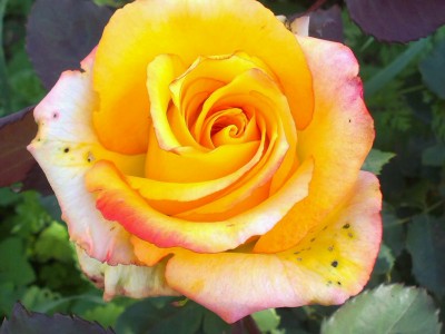 Vsakdo si zasluži biti močan