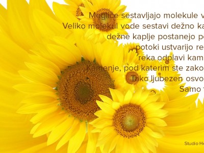 Majske meglice ljubezni