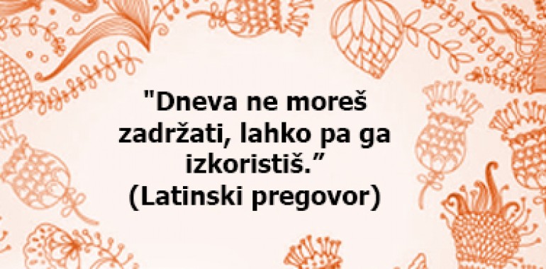 Izkoristi dan