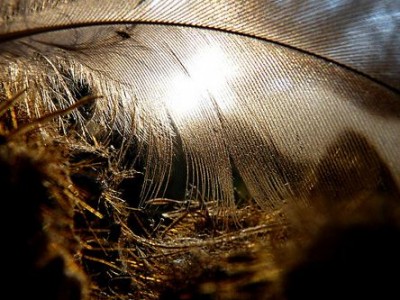 Zakaj spreminjati nekaj, kar deluje