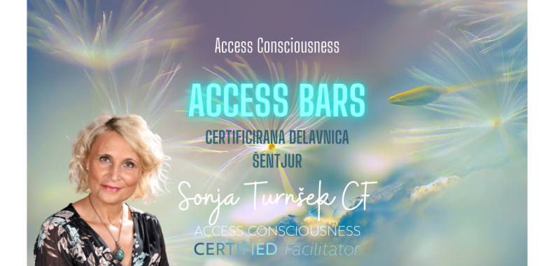 Access Bars delavnica