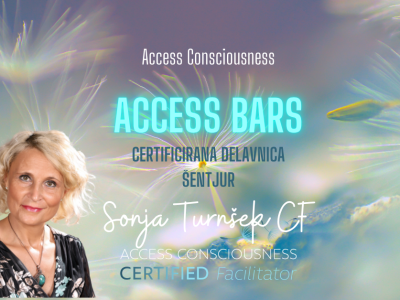 Access Bars delavnica