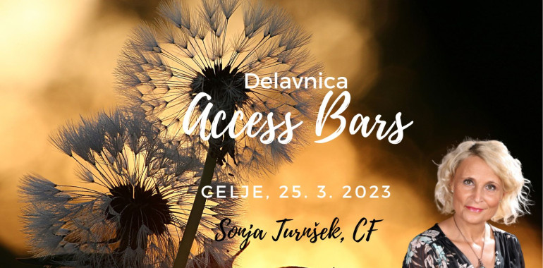 Access Bars delavnica