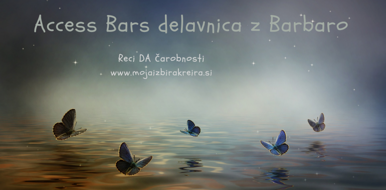Access Bars Delavnica z Barbaro v Hočah (Maribor)